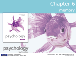 Chapter 6 Power Point: Memory