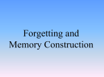 Memory Construction and Forgetting
