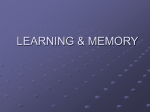 LEARNING & MEMORY