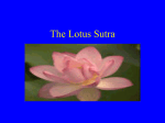 The Lotus Sutra - Cirencester College