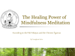 Healing Power of Mindfulness Meditation