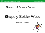 Shapely Spider Webs PRINT VERSION