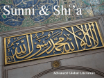Differences Between Sunni & Shi`a