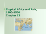 Tropic Africa and Asia