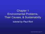 Chapter 1 Powerpoint ch01