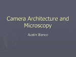 Camera Architecture and You