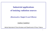 Destructive Single Event Effects - Istituto Nazionale di Fisica Nucleare