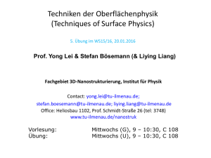 Prof. Yong Lei & Stefan Bösemann (& Liying Liang)