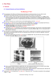 3. Thin Films 3.1 General The Meaning of &#34;Thin&#34;