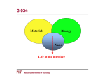 3.034 Materials Biology Nano