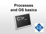 Processes and OS Basics