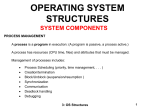 OPERATING SYSTEM STRUCTURES
