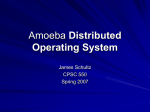 Amoeba Distributed Operating System