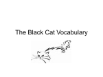 The Black Cat Vocabulary