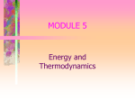 MODULE 4