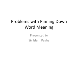 Problems with Pinning Down Word Meaning