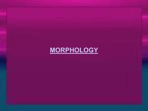 Morphology: the word of language