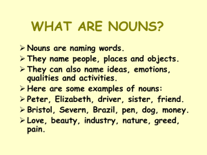 WHAT ARE NOUNS?