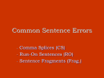 Common Sentence Errors