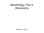 8-MorphologyIV