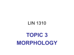 Morphology Notes - Université d`Ottawa