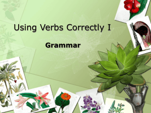 Using Verbs Correctly I