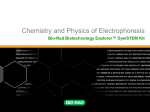 Chemistry and Physics of Electrophoresis - Bio-Rad