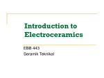 Electroceramics - Universiti Sains Malaysia