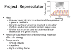 Project: Electronic Cricket