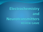 REVIEW GAME Electrochemistry and Neurotransmitters