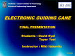 Final Presentation