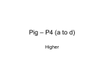 pig-p4-a-d-higher