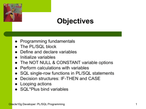 PL/SQL Blocks