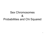 Chromosomes and Heredity