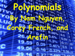 Polynomials Overview