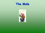 The Mole - semphchem