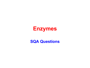 SQAEnzymes - MrMcKennaBiologyPage