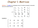 Chapter 1: Matrices