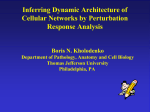Inferring Dynamic Architecture of Cellular Networks by Perturbation