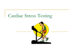 Stress Test