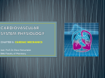 isovolumic ventricular contraction