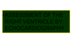 Assessment of the Right Ventricle By Echocardiography