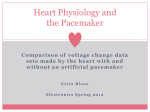 Heart Physiology and the Pacemaker (Comparison of voltage