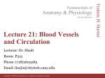 Lecture 21: Blood Vessels and Circulation - Websupport1