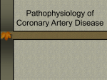 Pathophysiology of Coronary Artery Disease