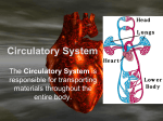 Circulatory System