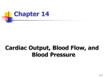 Human Physiology - Orange Coast College