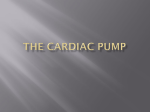 The Cardiac Pump