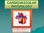 CARDIOVASCULAR PHYSIOLOGY