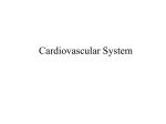 Cardiovascular System - Tri